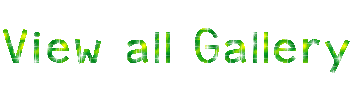 1456c1b5e5628a6d8933568ee4288583_result4 (1).gif